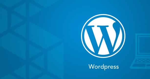 Read more about the article Sık karşılaşılan 8 WordPress hatası ve çözümleri 2019!